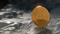 Golden bitcoin standing on stones on dark mountains background. Crypto currency blockchain. For background and commercial use.