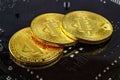 Golden bitcoins on the black background closeup. Cryptocurrency virtual money Royalty Free Stock Photo
