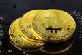 Golden bitcoins on the black background closeup. Cryptocurrency virtual money Royalty Free Stock Photo