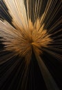 Golden and black burst in grunge style. Royalty Free Stock Photo