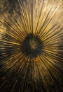 Golden and black burst in grunge style.