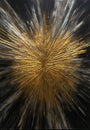 Golden and black burst in grunge style 11 Royalty Free Stock Photo