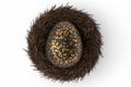 Golden and black Easter egg in bird nest isolated on white background. Royalty Free Stock Photo