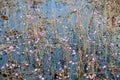 Golden bladderwort or Utricularia aurea at Lake Thale Noi Waterfowl Reserve