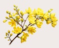Golden Blooms: A Stunning Snapshot of a Small Branch of Yellow Flowers