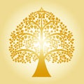 Golden bodhi tree Royalty Free Stock Photo