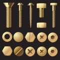 Golden bolts and screws. Washer nut hardware rivet and bolt. Gold fasteners isolated vector set