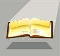 Golden book bible magic light shining glossy vector