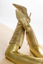 golden boots Royalty Free Stock Photo