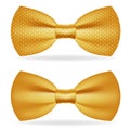 Golden bow tie gentleman isolated gold 3d icon design vector illustration