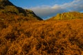 Golden bracken at Wasdale Royalty Free Stock Photo