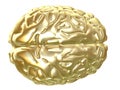 Golden brain