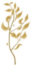 Golden branch. Linear vector drawing