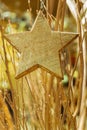 Golden branches star