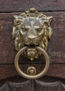 Golden brass Lion head door knob doorknob Royalty Free Stock Photo