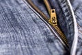 Golden brass zipper on blue jeans. selective focus. Royalty Free Stock Photo