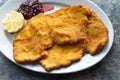 Golden breaded german schnitzel Royalty Free Stock Photo