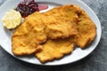 Golden breaded german schnitzel Royalty Free Stock Photo