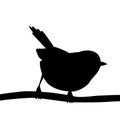 Golden breasted fulvetta vector illustration black silhouette Royalty Free Stock Photo