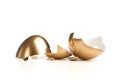 Golden Broken Egg Royalty Free Stock Photo