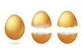 Golden broken eggs cracked open easter eggshell design 3d realistic icon isolated vector illustration Royalty Free Stock Photo