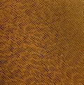 the Golden Brown Artificial Leather Texture Royalty Free Stock Photo