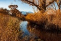 Golden brown autumn winter grasses along stream with distant abandoned farm buildings Royalty Free Stock Photo