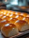 Golden brown bread buns in a bakery oven Royalty Free Stock Photo