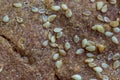 Golden bread crust close up with sesame seeds Royalty Free Stock Photo