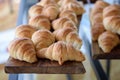 Golden brown croissant fresh bake Royalty Free Stock Photo