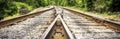 Golden brown diverging Railroad Tracks. Royalty Free Stock Photo