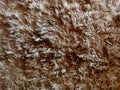 Golden brown fur background