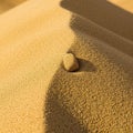 Arrangement is reminiscent of sand dunes, with a smooth but subtly Royalty Free Stock Photo