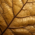 Golden Brown Leaf: Organic Architecture In High Detail