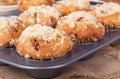 Golden Brown Muffin Closeup Royalty Free Stock Photo