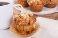 Golden Brown Muffin Royalty Free Stock Photo