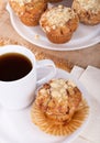 Golden Brown Muffin Royalty Free Stock Photo