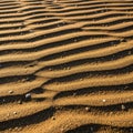 The undulating lines are formed by natural forces, such as wind Royalty Free Stock Photo