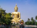 golden buddah Royalty Free Stock Photo