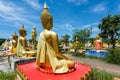 golden Budddha statue at Wat Phai Rong Wua Royalty Free Stock Photo