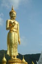 Golden Buddha Royalty Free Stock Photo