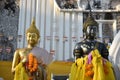 Golden Buddha and Black Buddha, Thai sculpture, with white buildings as background