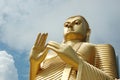 Golden Buddha at Dambulla,Sri Lanka