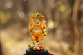 Golden Buddha figurine on a colored background Royalty Free Stock Photo