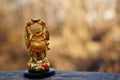 Golden Buddha figurine on a colored background Royalty Free Stock Photo