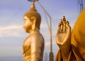 Golden Buddha and hand of praying buddhist monk`s statue, TIger Royalty Free Stock Photo