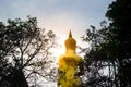 Golden Buddha illuminated with tree silhouette Royalty Free Stock Photo