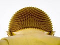 Golden Buddha image head Royalty Free Stock Photo
