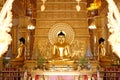 Golden buddha image statue in temple