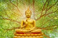 Golden Buddha image under the Bodhi leaf, natural background Royalty Free Stock Photo